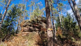 Froschfelsen in Dahn - Foto: Anette Lang