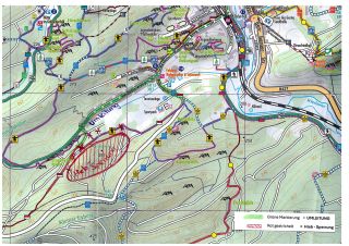Holzerntemaßnahmen am Dahner Felsenpfad im Bereich des Ungeheuerfelsen