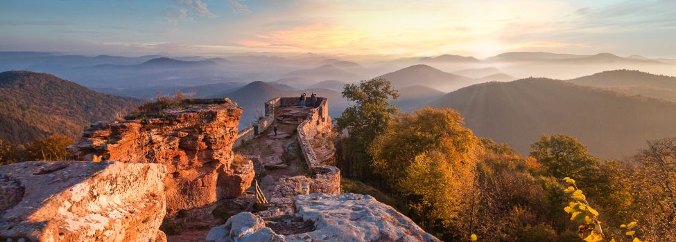 Burgruine Wegelnburg, höchstgelegene Burg der Pfalz bei Nothweiler/Schönau_Foto: Kurt Groß, kgp