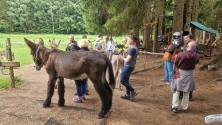 Dreharbeiten mit den Pfalzeseln in Dahn_Foto: Anette Lang