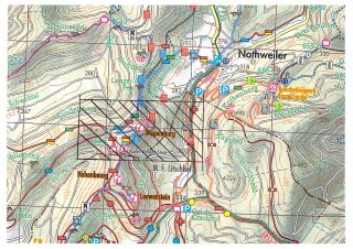 Holzerntemaßnahmen rund um die Burgruine Wegelnburg