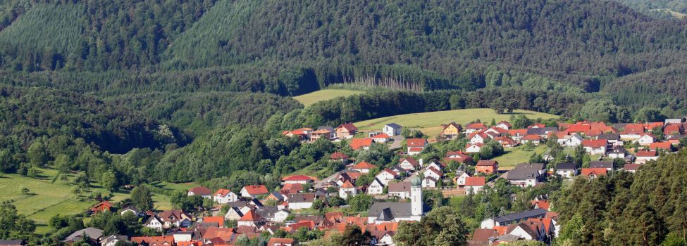 Busenberg