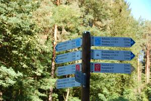 Wanderwegweiser Dahner Felsenland