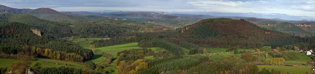 Blick vom Drachenfels ins Dahner Felsenland - Foto: Harald Kröher 