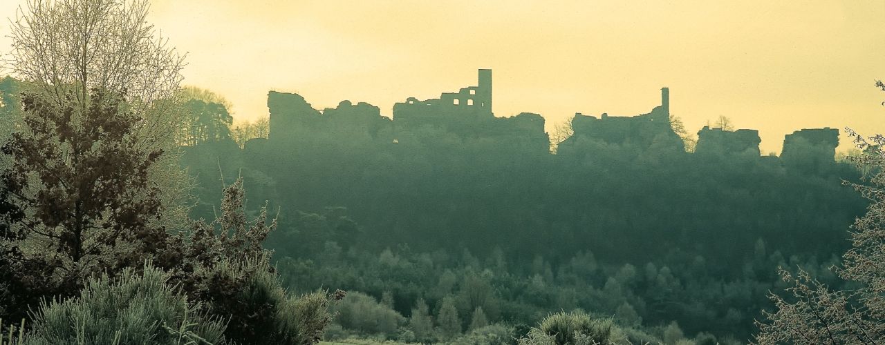 Burgenmassiv Alt-Dahn in Dahn - Foto: Kurt Groß