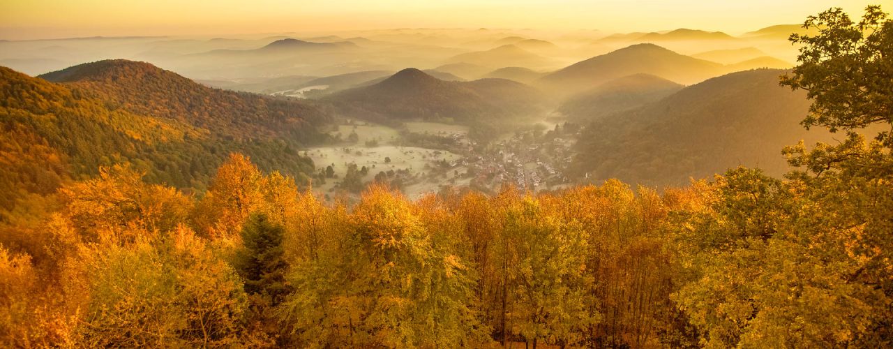 Über den Dächern des Dahner Felsenlandes - Foto: Kurt Groß