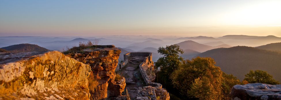 Burgruine Wegelnburg zwischen Nothweiler und Schönau - Foto: Kurt Groß