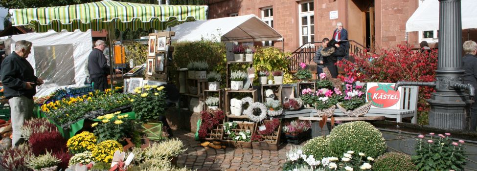 Michaelismarkt_Foto Christian Mueller
