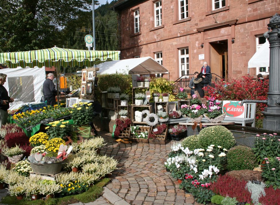 Michaelismarkt_Foto Christian Mueller