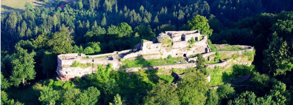 Luftaufnahme der Burgruine Wgelnburg - Foto: Kurt Groß 