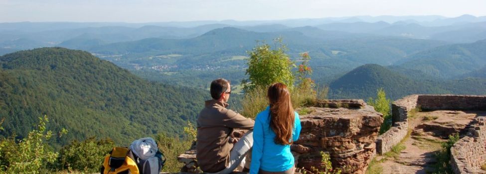 Blick von der Burgruine Wegelnburg zwischen Schönau und Nothweiler- Foto: Jacques Noll