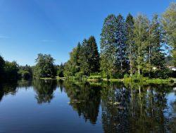 Sägmühlweiher Ludwigswinkel - Foto: Klaus Burkhart