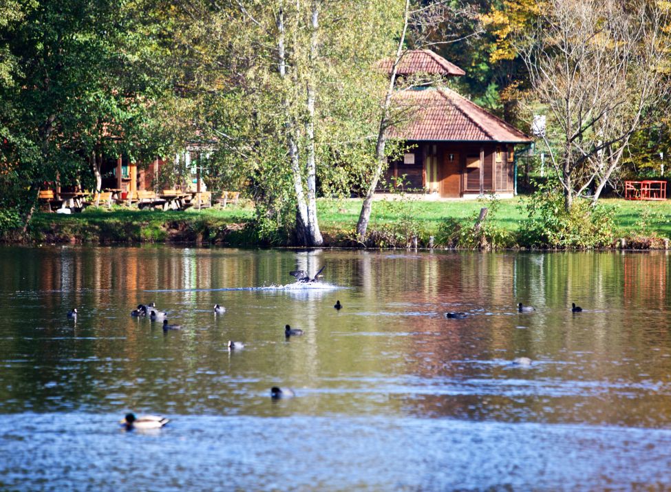 Badesee Schöntalweiher bei Ludwigswinkel_Foto Kurt Groß