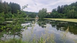 Schöntalweiher bei Ludwigswinkel_Foto Anette Lang Schöntalweiher bei Ludwigswinkel_Foto Anette Lang