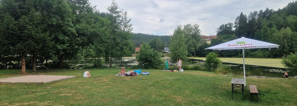 Liegewiese am Schöntalweiher bei Ludwigswinkel_Foto Anette Lang Liegewiese am Schöntalweiher bei Ludwigswinkel_Foto Anette Lang