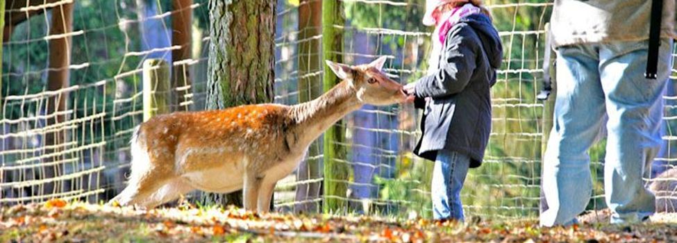 Wild und Wanderpark - Foto: Manfred Kuntz