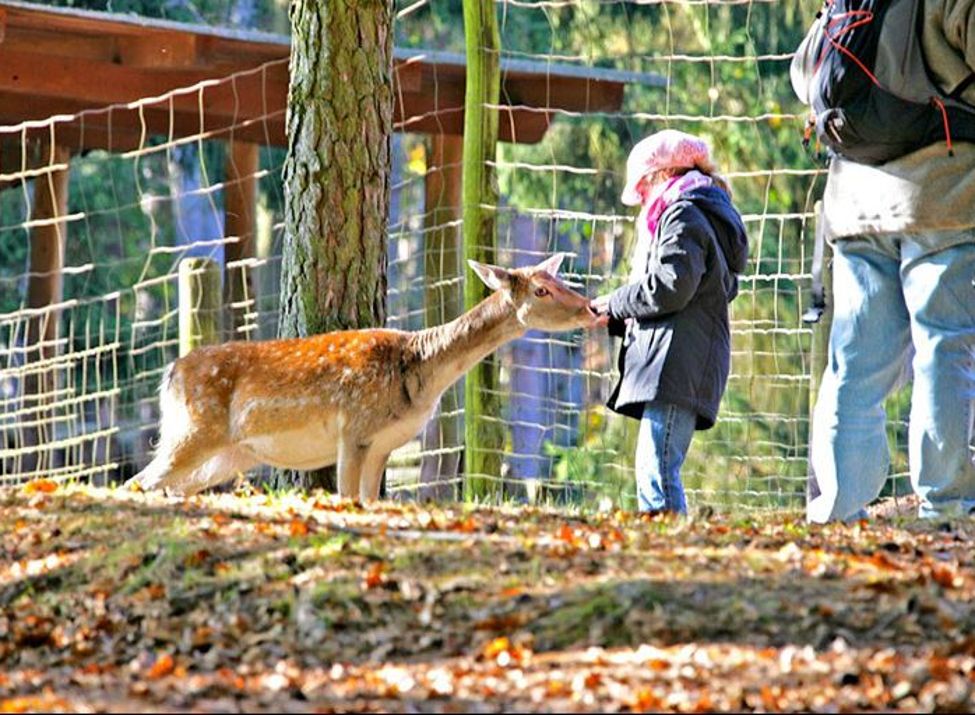 Wild und Wanderpark - Foto: Manfred Kuntz