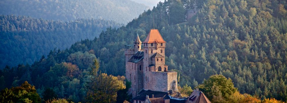 Burg Berwartstein - Foto: Kurt Groß