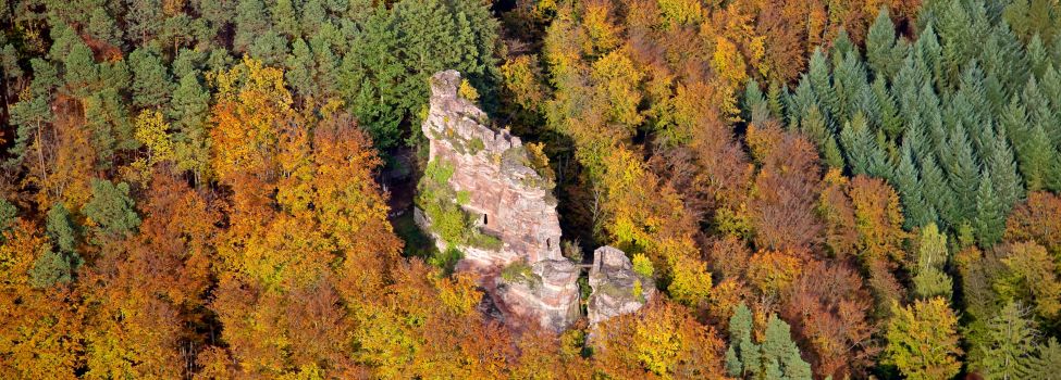 Burgruine Froensburg - Foto: Kurt Groß
