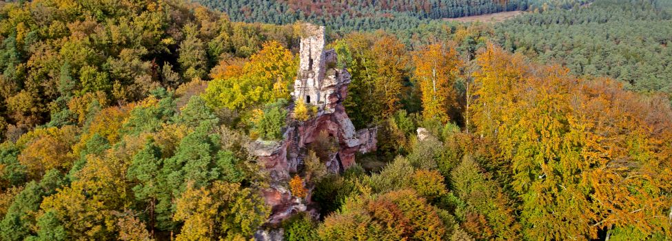 Burgruine Lutzelhardt - Foto: Kurt Groß