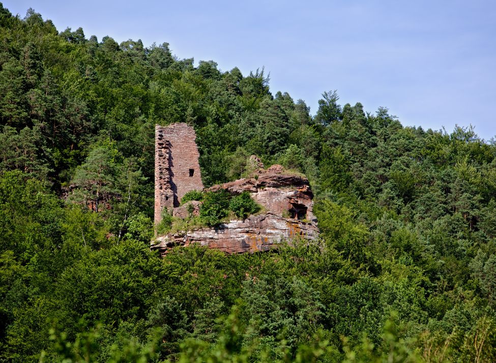 Burgruine Petit Arnsbourg - Foto: Kurt Groß