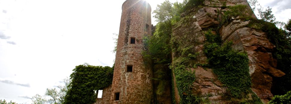 Burgruine Neudahn - Foto: Kurt Groß