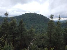 Blick vom Kappelstein auf die Wegelnburg - Foto: Jacques Noll