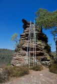 Aufstieg zum Pfaffenfels - Foto: Kurt Groß