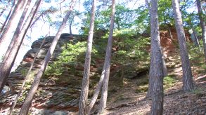 Rauhbergfelsen - Foto: Jacques Noll