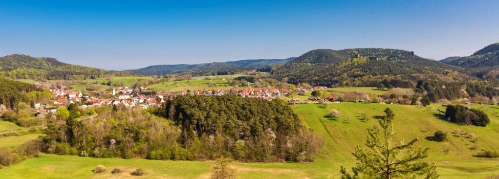 Blick auf Busenberg mit dem Drachenfels- Foto: Kurt Groß