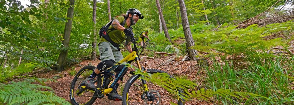 Mtb Park Pfalzerwald Vg Dahner Felsenland