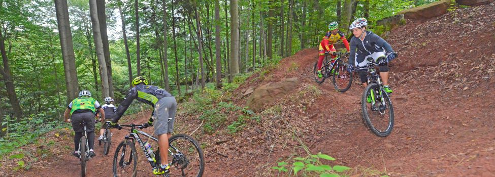 MTB-Tour im Dahner Felsenland - Foto: Christoph Riemeyer MTB-Tour im Dahner Felsenland - Foto: Christoph Riemeyer