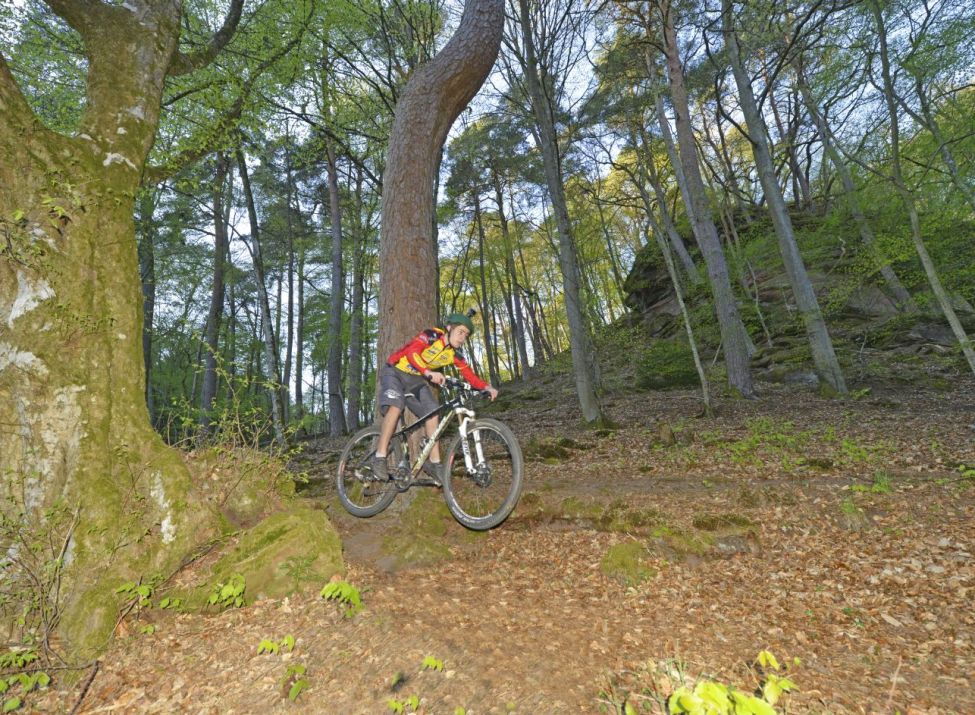 Foto: Christoph Riemeyer