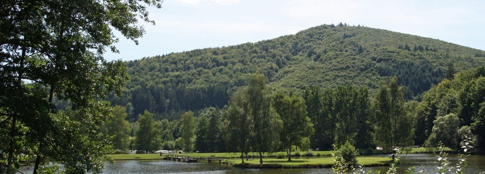 Fleckensteiner Weiher/F - Foto: Anette LAng