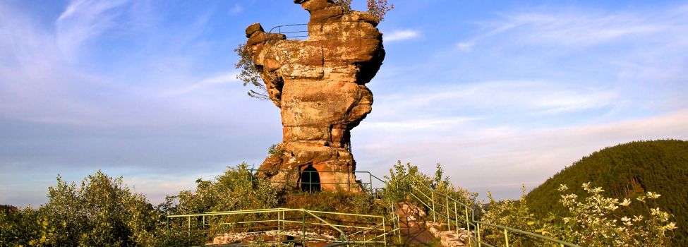 Burgruine Drachenfels - Foto: Kurt Groß