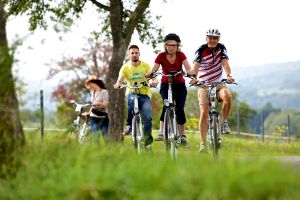 Mit dem E-Bike unterwegs im Dahner Felsenland Mit dem E-Bike unterwegs im Dahner Felsenland