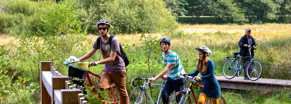 Mit dem Rad im Dahner Felsenland - Foto: Kurt Groß