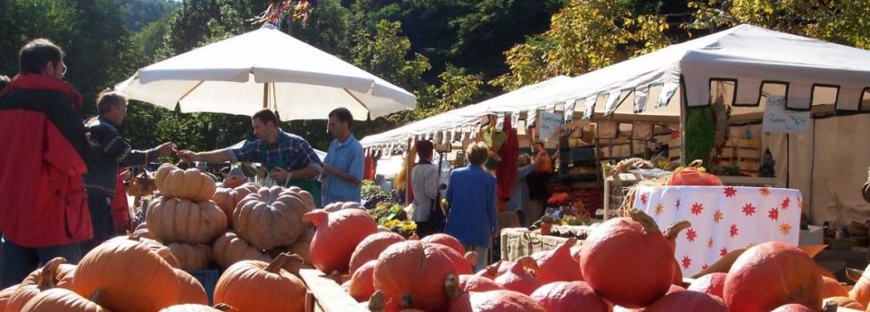 Michaelismarkt Schönau - Foto: Jacques Noll