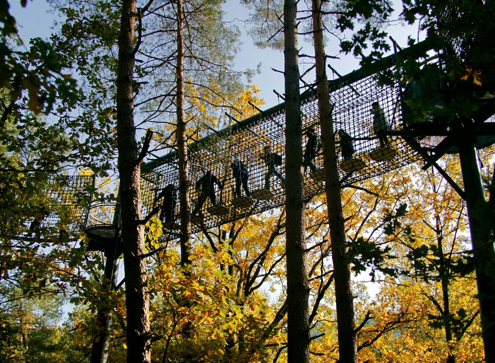 Baumwipfelpfad Fischbach - Foto: Manfred Kuntz