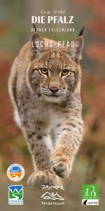 Flyer Luchs-Pfad zum Downloaden