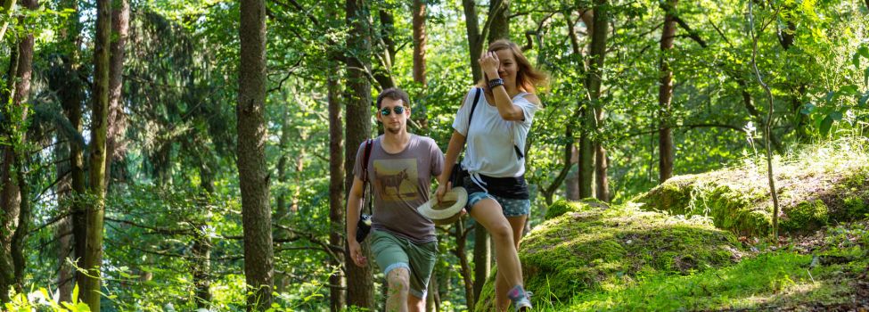 Unterwegs auf unseren Premiumwegen - Dahner Felsenland - Foto: Kurt Groß