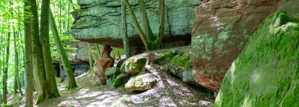 Hohle Felsen zwischen Dahn und Fischbach - Foto: Kurt Groß