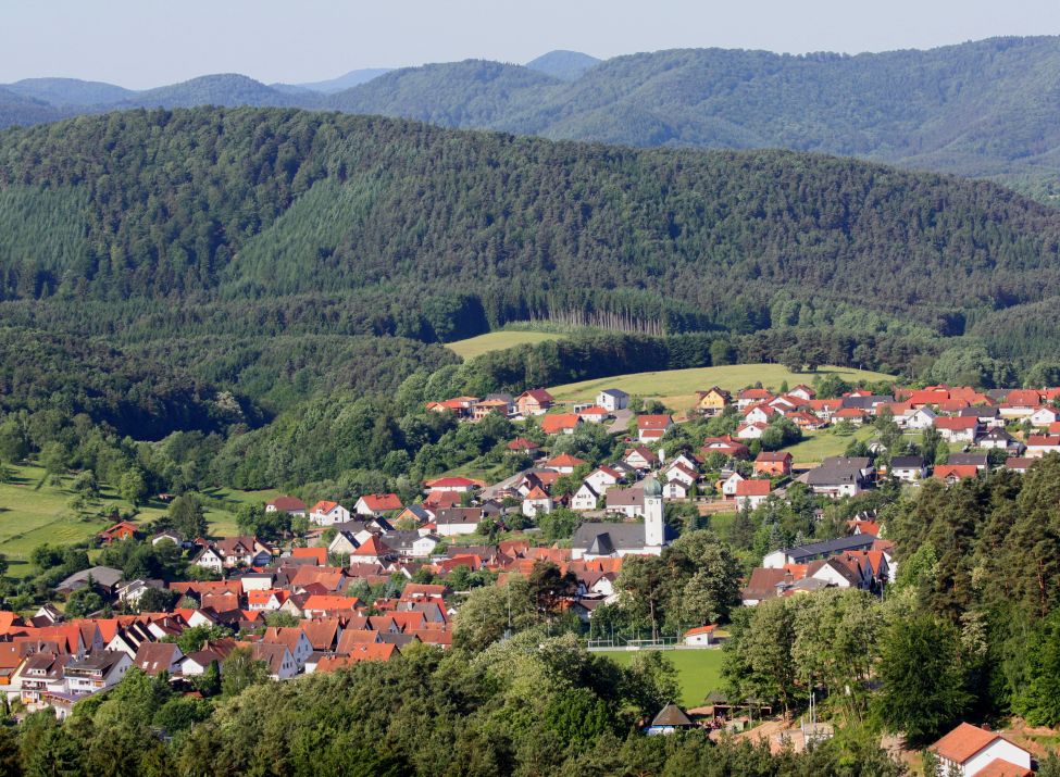 Blick vom Löffelsberg auf Busenberg - Foto: Klaus Klonig 
