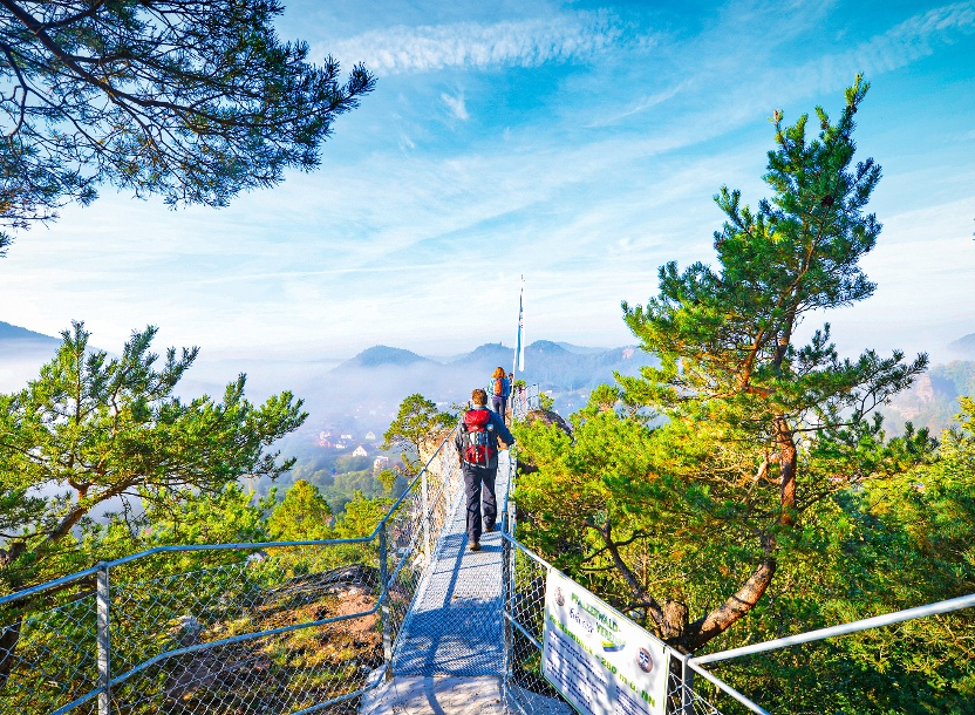Blick vom Hahnfelsen auf Erfweiler - Foto: Christoph Riemeyer