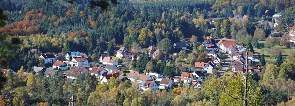 Blick vom Lindelskopf - Foto: Sebald Liesenfeld Blick vom Lindelskopf - Foto: Sebald Liesenfeld