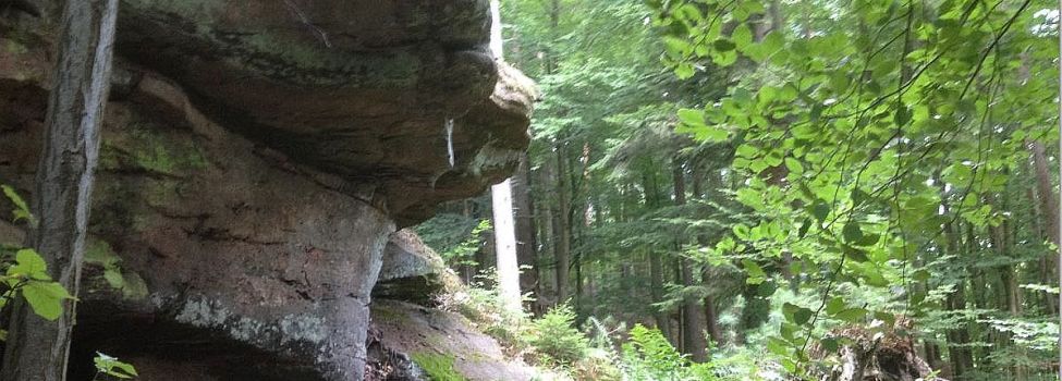 Blick vom Beutelstein - Foto: Klaus Burkhart