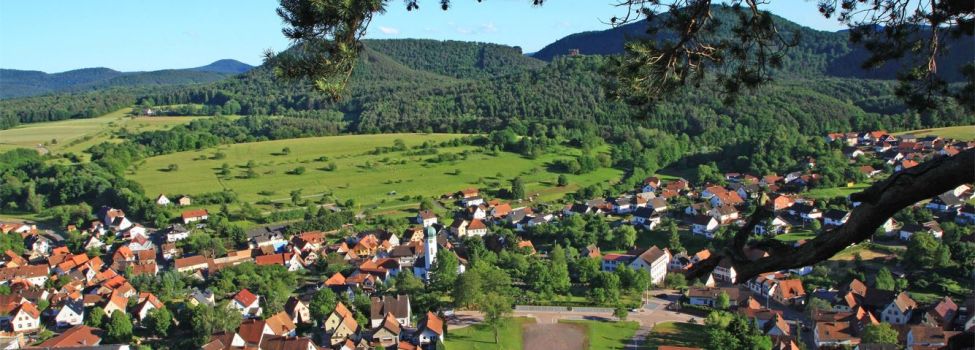 Blick vom Eichelberg auf Busenberg - Foto: Klaus Klonig