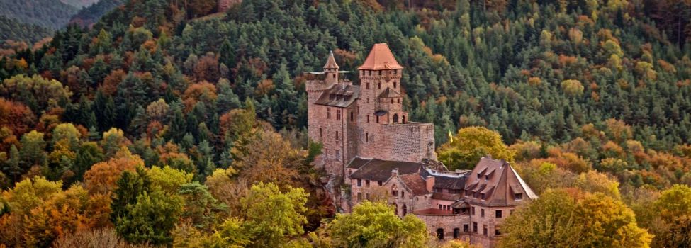 Burg Berwartsein bei Erlenbach - Foto: Kurt Groß