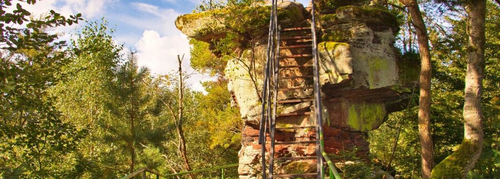 Jüngstbergkanzel  Bundenthal - Foto: Karl Christmann