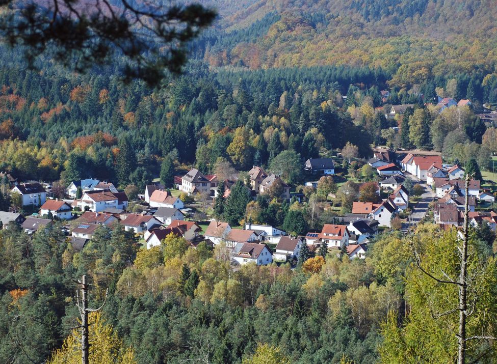 Blick vom Lindelskopf - Foto: Sebald Liesenfeld
